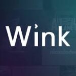Wink find & make new friends MOD APK v4.51.0 (Unlocked All)